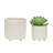 Kashandra Handmade Ceramic Pot Planter