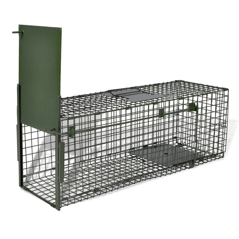 Life Trap, 25 cm H x 80 cm W
