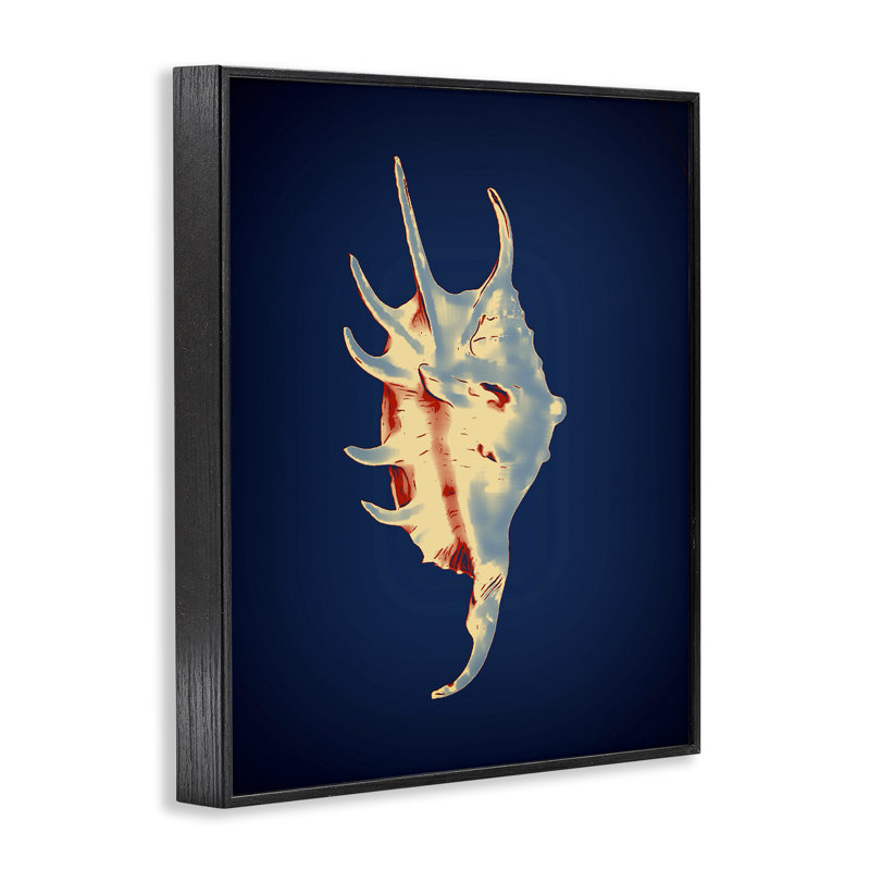  Spider Conch on Blue White Framed Giclee Art by Graffi*tee Studios, Giclée encadrée noir minuit, H 30 po x l 24 po
