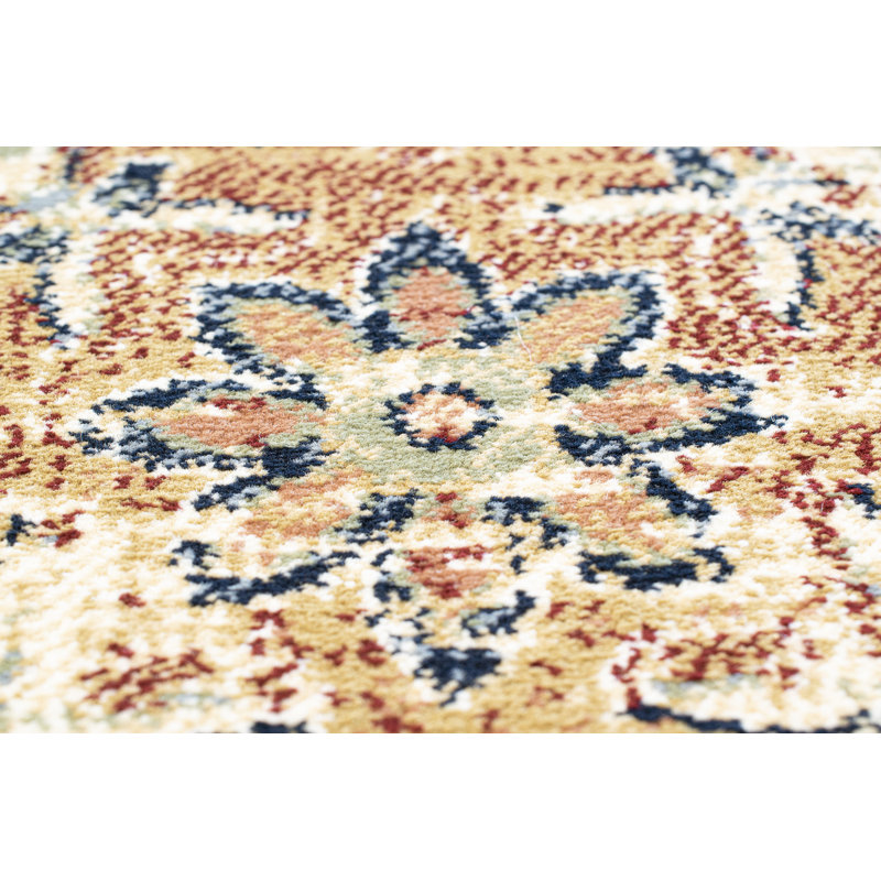 Raine Oriental Area Rug, Rectangle 80 x 150cm