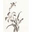 «Red Barrel Studio® Paschke, Chris», reproduction d'art sur toile tendue: Sumi Daylily II-806360623