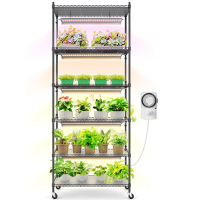 Support pour plantes Barrina Cx2