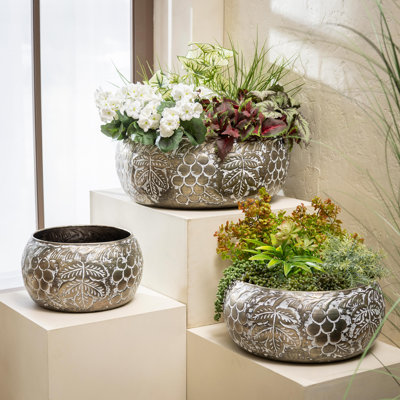 Ensemble de 3 pots de fleurs circulaires embossés