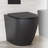 St. Tropez Back-to-Wall Elongated Toilet Bowl-61836543