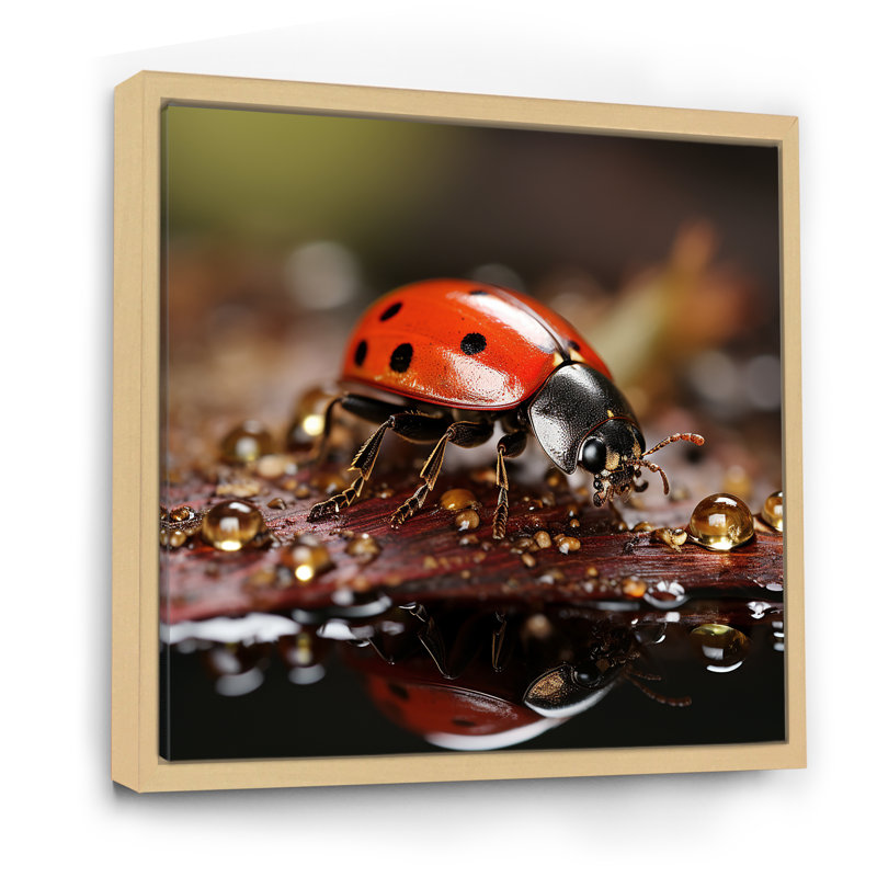Reproduction sur toile d'une coccinelle animée, Cadre naturel flottant, H 16 po x l 16 po x P 1 po