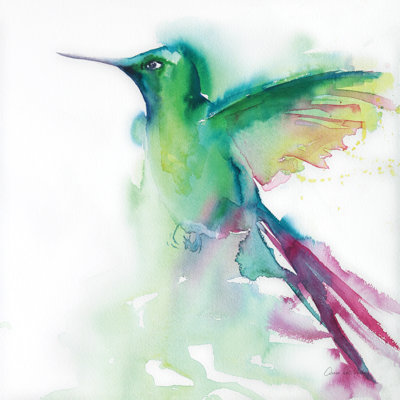 Colibris III
