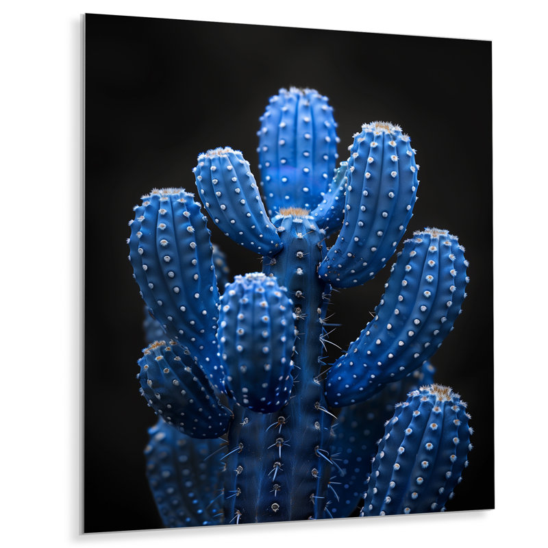 Cactus bleu clair et noir clair de lune - Cactus floral, Métal métal, H 20 po x l 12 po x P 1 po