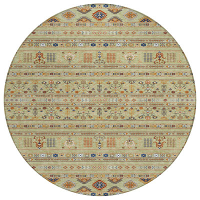 Machine Washable Indoor/Outdoor Boruta ACN2244 Navajo Rug