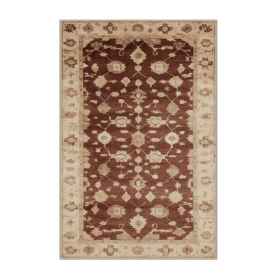 Machine Washable Overdyed Brown Area Rug