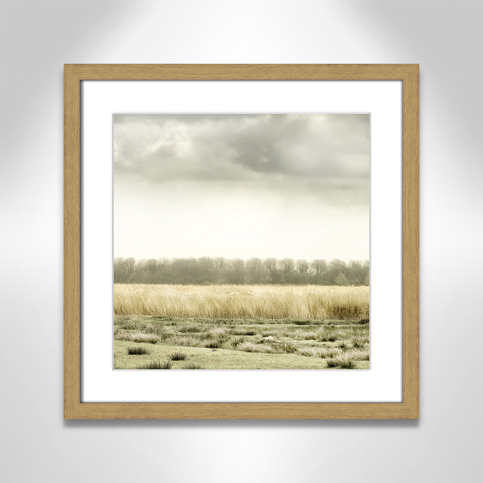 Henri "Meadowland" Print by Danita Delimont, 17" H x 17" W , Natural Wood Grain
