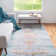 Oriental Indoor Rug