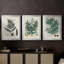 Collectionner Ferns VI - Toile tendue avec châssis sur mesure - 3 pièces-1943549601-1943549605