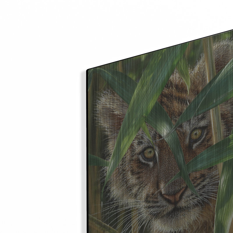 «Peekaboo» par Collin Bogle, H 16 po x l 12 po