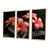 Toile avec cadre flottant or