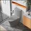 Toilette allongée une pièce matte à double chasse 1,1 / 1,6 GPF, Matte Grey Matte