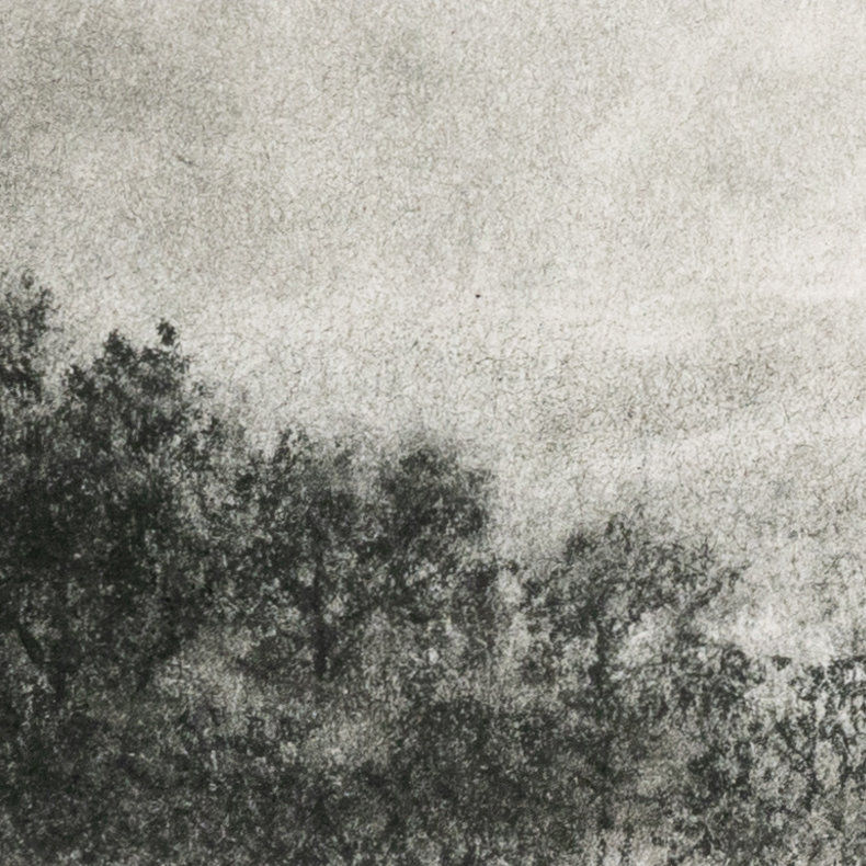 Hill Ctry Study I by Aileen Fitzgerald