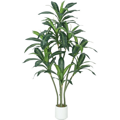 Arrangement