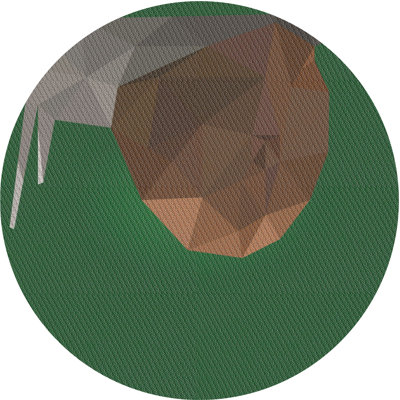 Indoor Rug