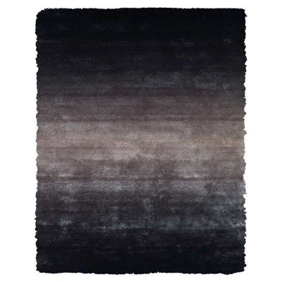 Sapienza Area Rug
