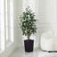 Adcock UV Protected Artificial Ficus Tree with Decorative Base, Faux Ficus Plant with Natural Trunk-1722551521-1722551526
