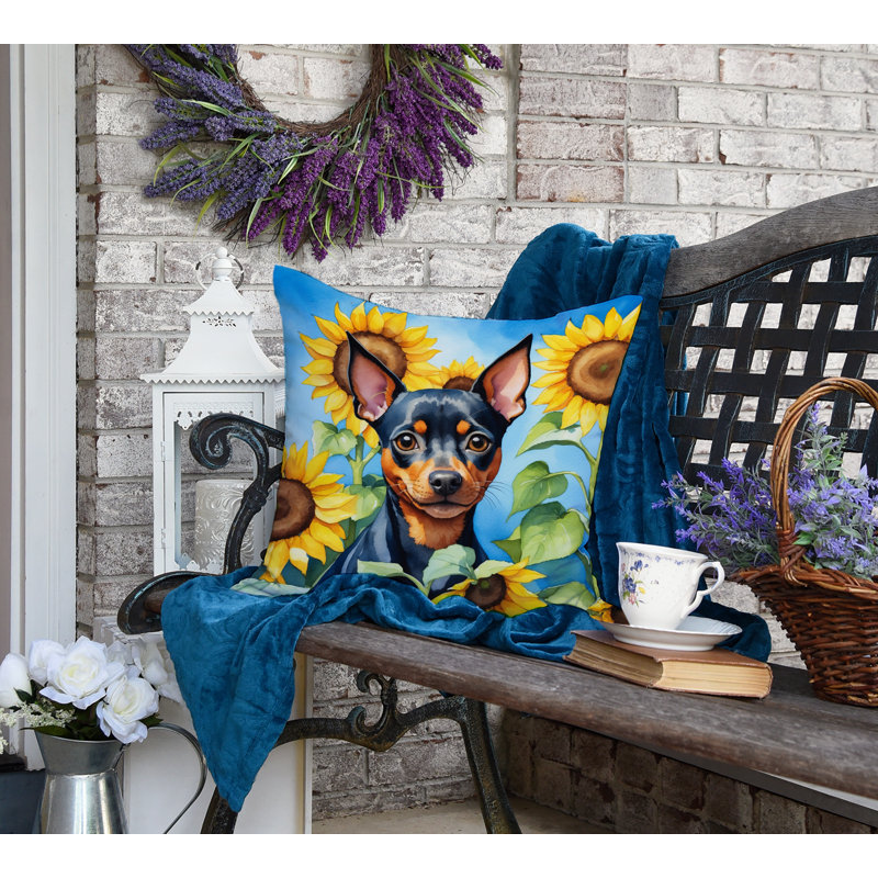 Other/No Pattern Outdoor Throw Pillow, 18" H x 18" W