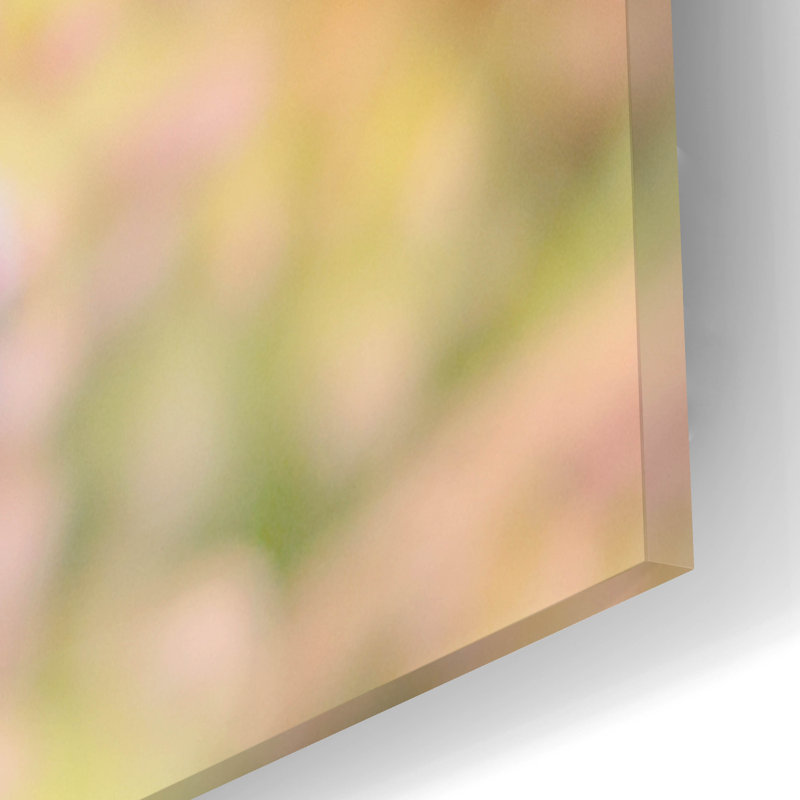 " Succulents 02 " by Lightbox Journal, 12" H x 12" W x 0.13" D