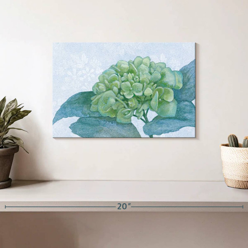 Hortensia bleu Harnek I, H 8 po x l 12 po