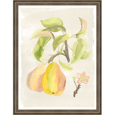« aquarelle fruit iii », reproduction de peinture à l’aquarelle encadrée