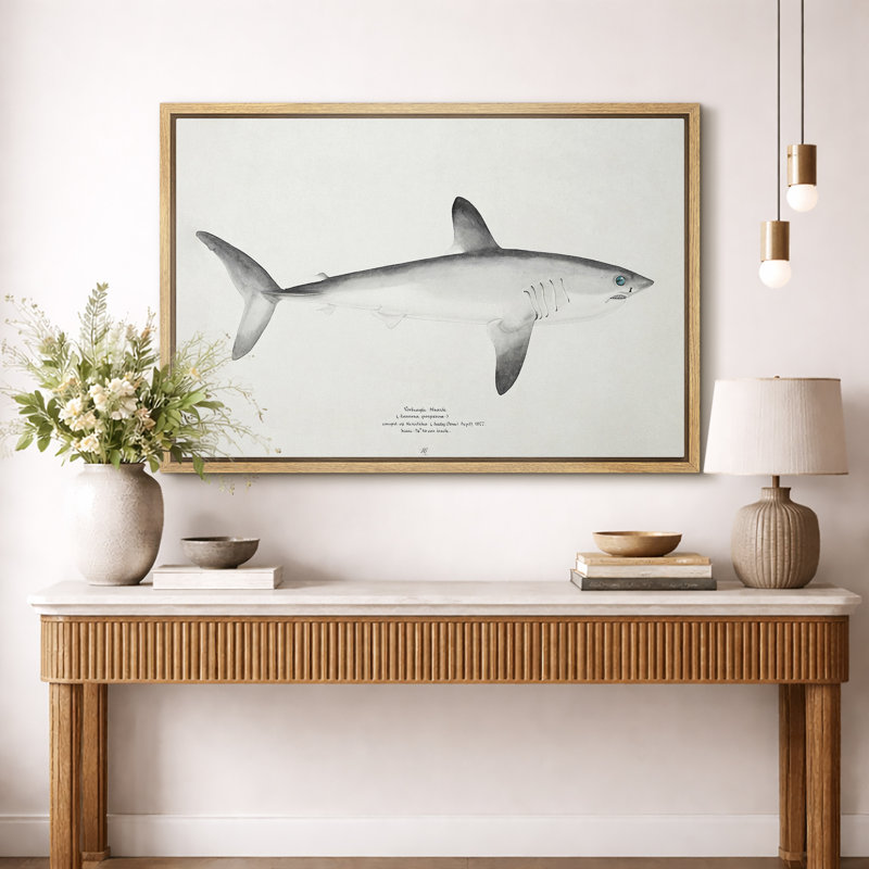 Art minimaliste de requin scientifique, images de salle de bain, impression sur toile encadrée, impression numérique.