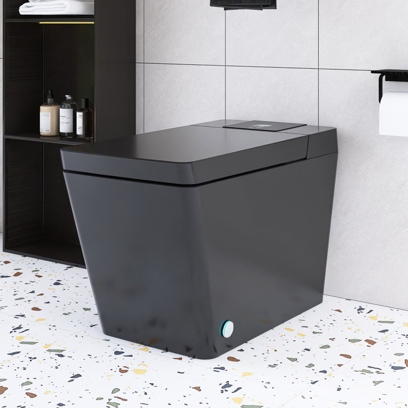 Toilette simple en céramique Smart 1,28 GPF, Noir