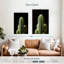 Cactus vert Harnek de près-108235654