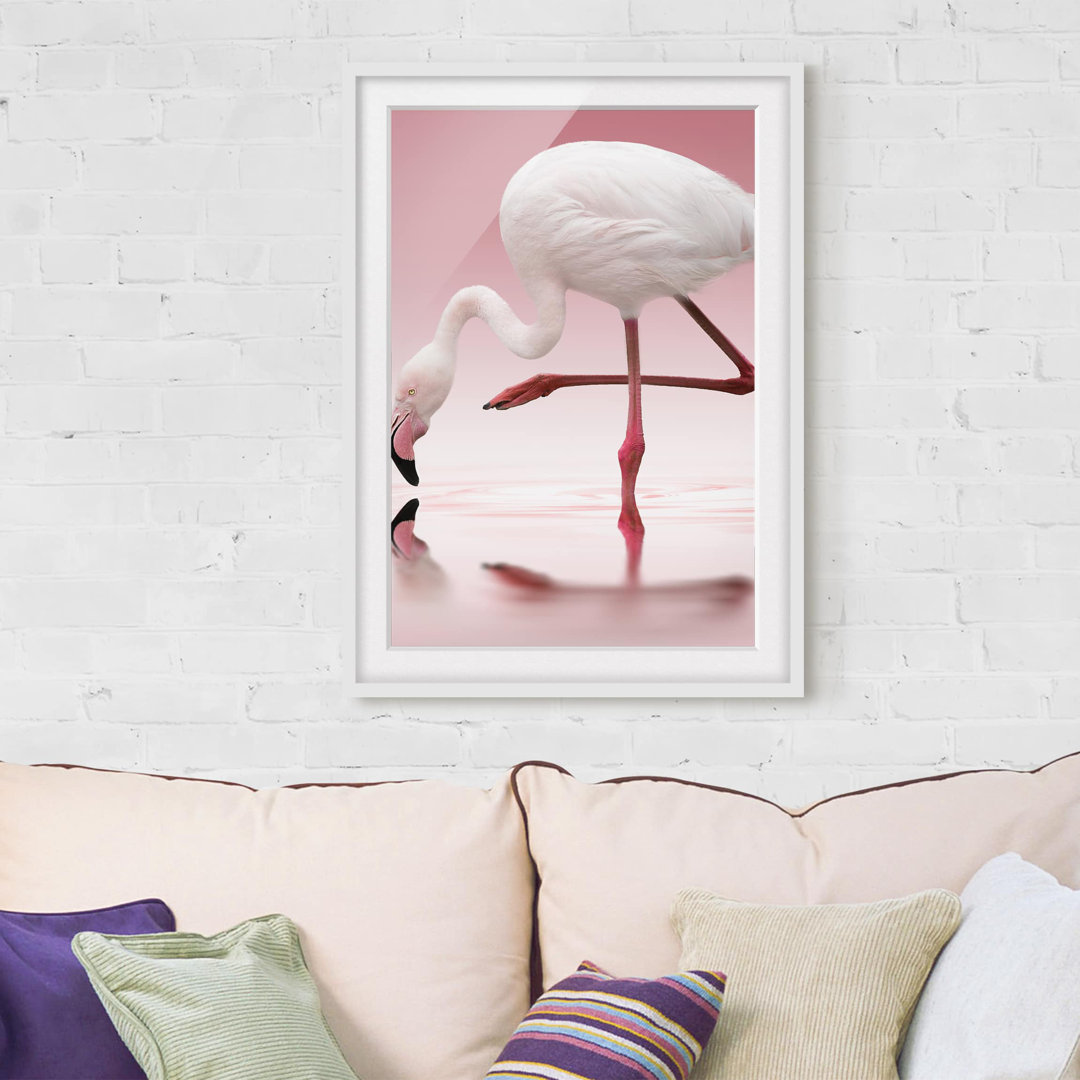 Gerahmtes Poster Flamingo Dance