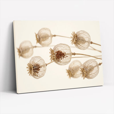 Dried Seed Pods Canvas Wall Art Set Of 1