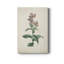 «Traditional Botanical II», impression sur toile tendue-1942529584