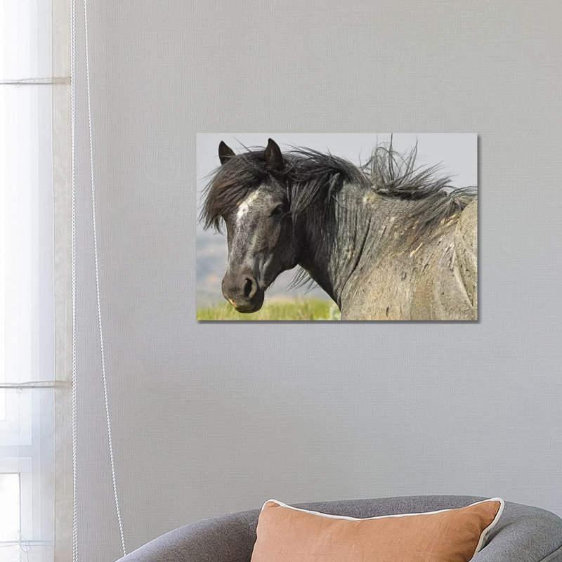 The Stallion by Brian Wolf - Wrapped Canvas Gallery-Wrapped Canvas Giclée, 45.72cm H x 66.04cm W