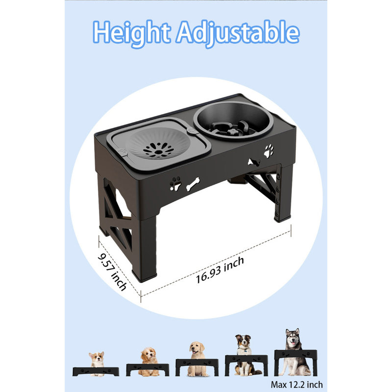 Elevated Pet Slow Feeder With Dual Bowls