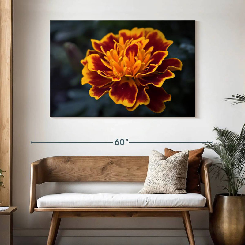 Harnek Red Marigold Flower, 32" H x 48" W