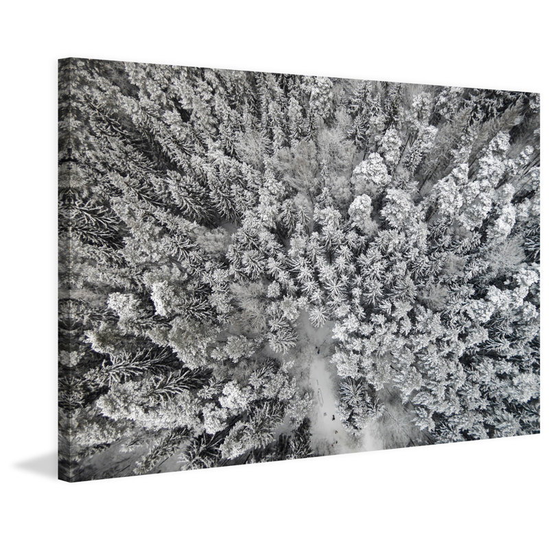 " Frozen Friends " by Karolis Janulis, 30" H x 45" W x 1.5" D