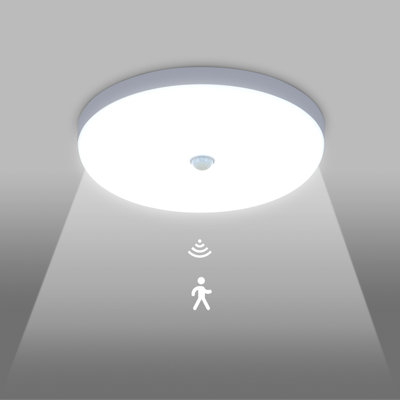 Ayal LED Flush Mount