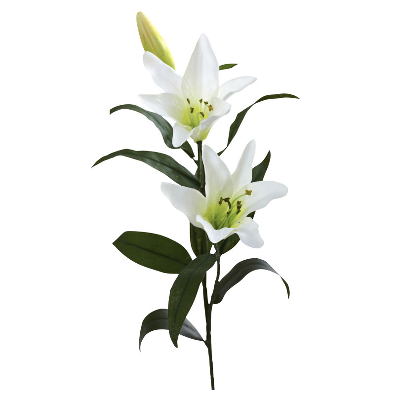 Lilies Arrangement, White