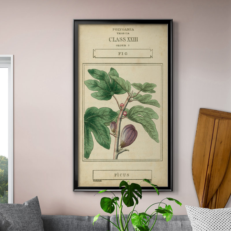 Linnaean Botany VI - Peinture sur toile encadrée, H 10,5 po x l 18,5 po x P 1,5 po, Toile avec cadre noir