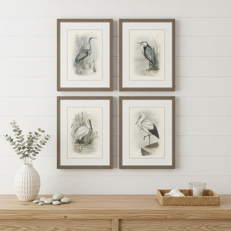 Ensemble de quatre oiseaux bruns, art mural encadré