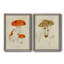 Toile encadrée de qualité supérieure Mushroom Variétés-816178478-816178473