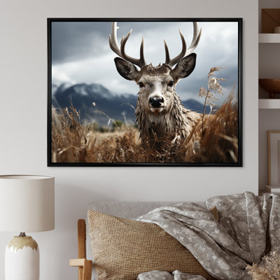 Photographie de cerf monochrome III - animaux