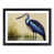 Black Framed selected