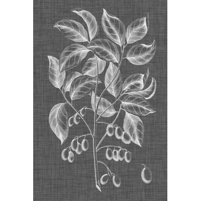 Graphic Foliage V - Wrapped Canvas Print