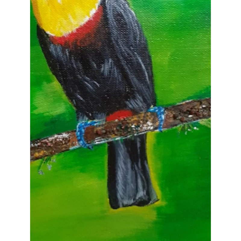 Toucan, oiseau tropical | Acrylique sur toile | Par Jyoti Rathore