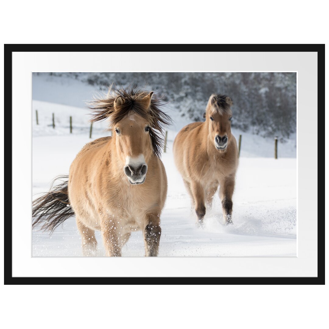 Gerahmtes Poster Pferd im Schnee