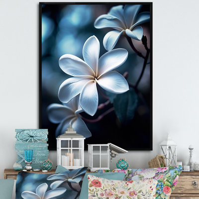 " White Black Exotic Plumeria Blooms "