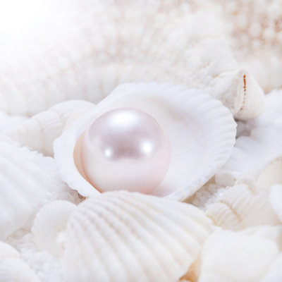 Pearl by Gebai - Wrapped Canvas Print